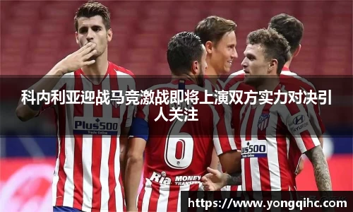 DG视讯官网